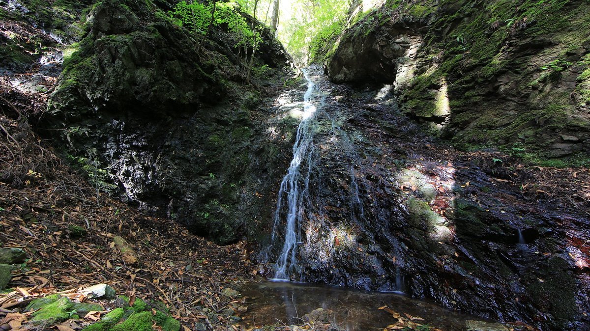 🌊 부동 폭포 (후도노타키) 이미지 1